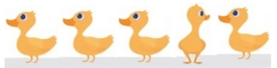 Los patitos en fila, excepto uno